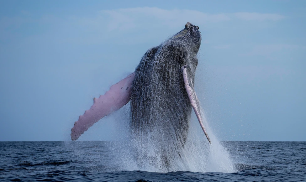 Η άχρηστη πληροφορία της ημέρας 14/11/2025