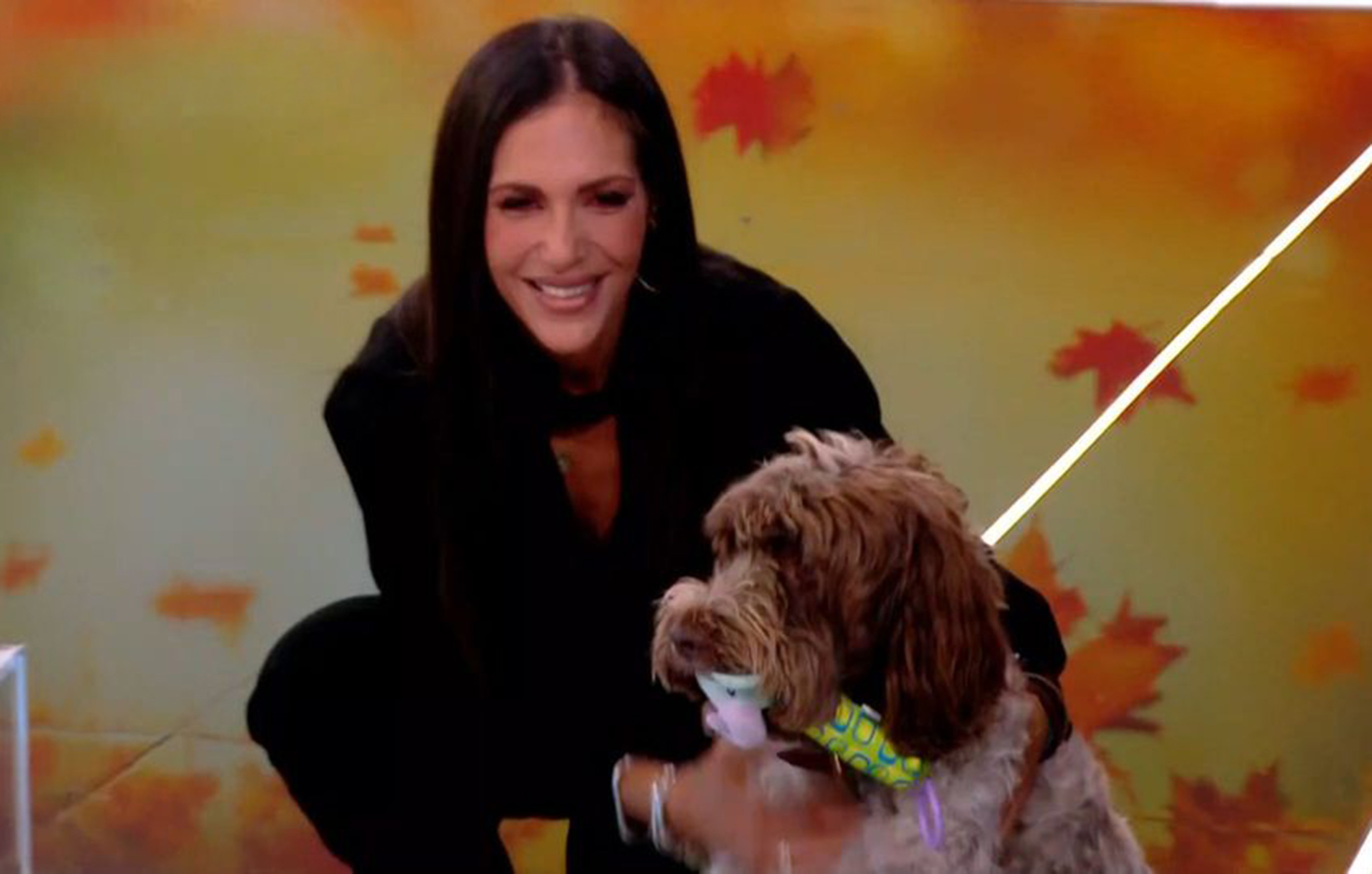 Η Ανθή Βούγλαρη «παράτησε» τον Κασσελάκη και κυνηγούσε τη Φάρλεϊ στο πλατό του Mega