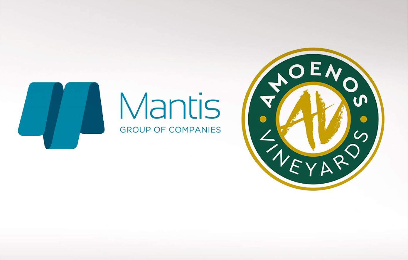 Όμιλος Mantis και Amoenos Vineyards: Νέα συνεργασία με επίκεντρο τη βιωσιμότητα