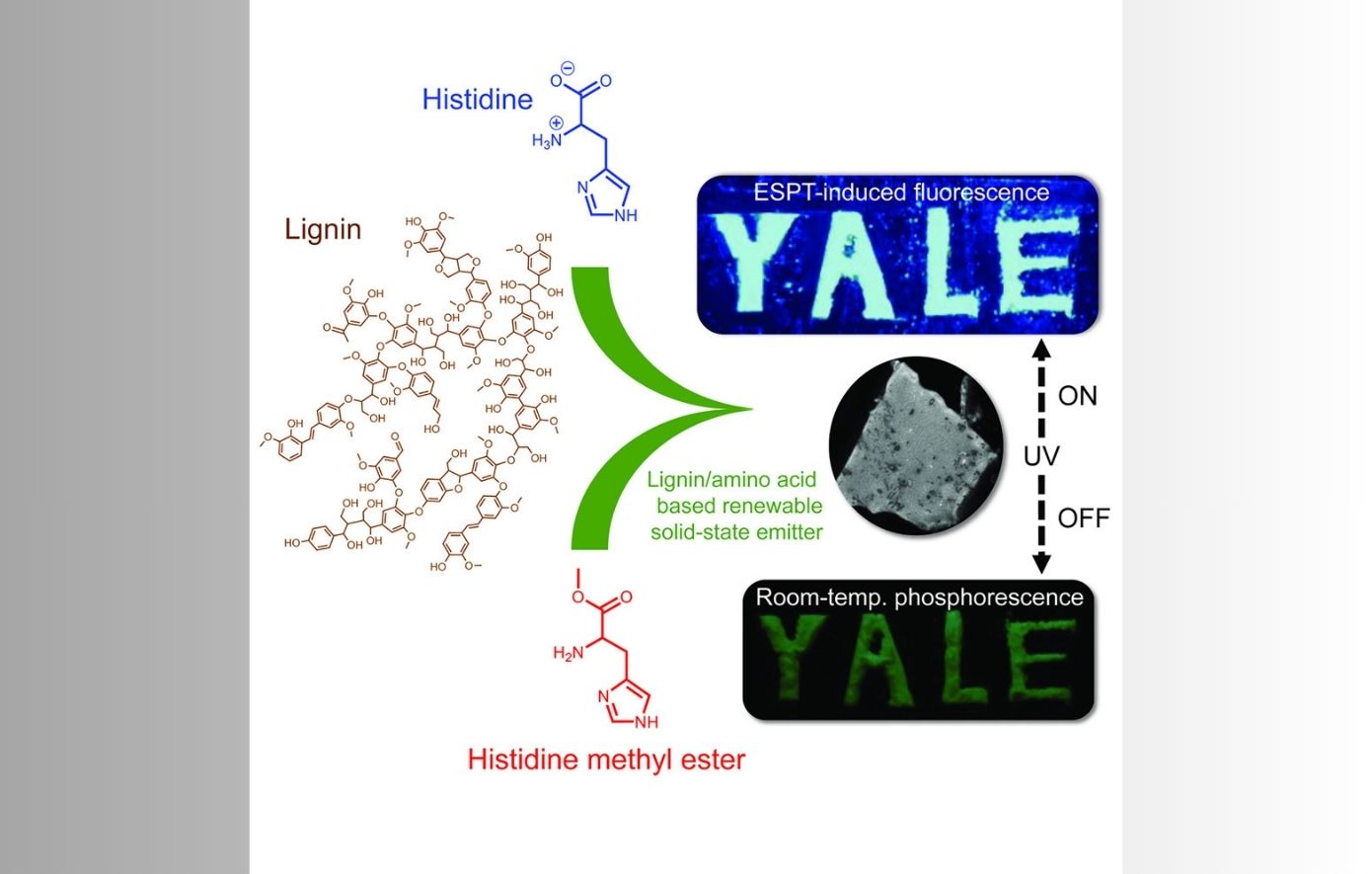 Έρευνα του Yale Έρευνα του Yale