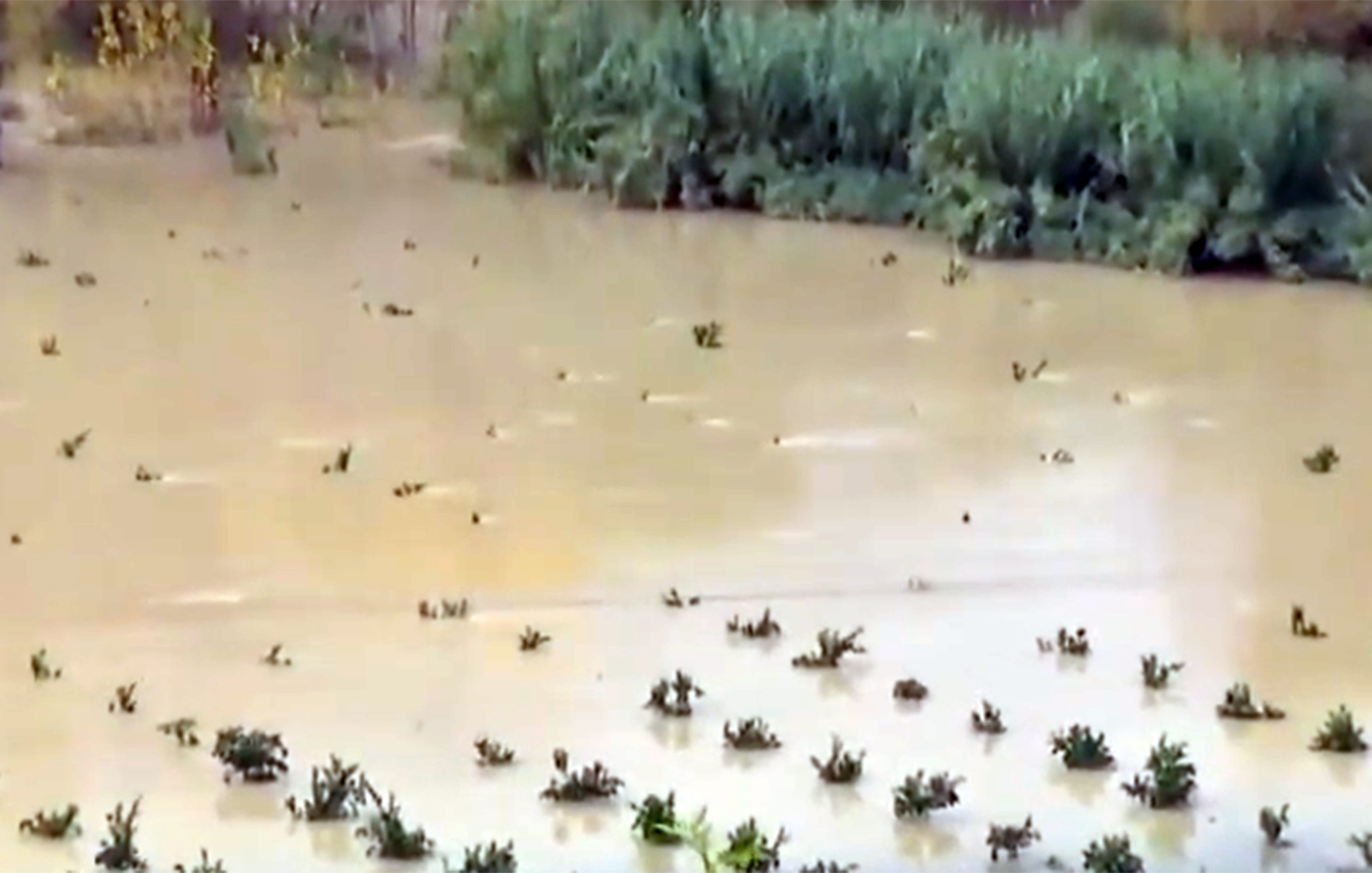 Υπερχείλισε ο ποταμός Καλαμάς στην Ήπειρο &#8211; Προβλήματα από την κακοκαιρία στη βόρεια Κέρκυρα