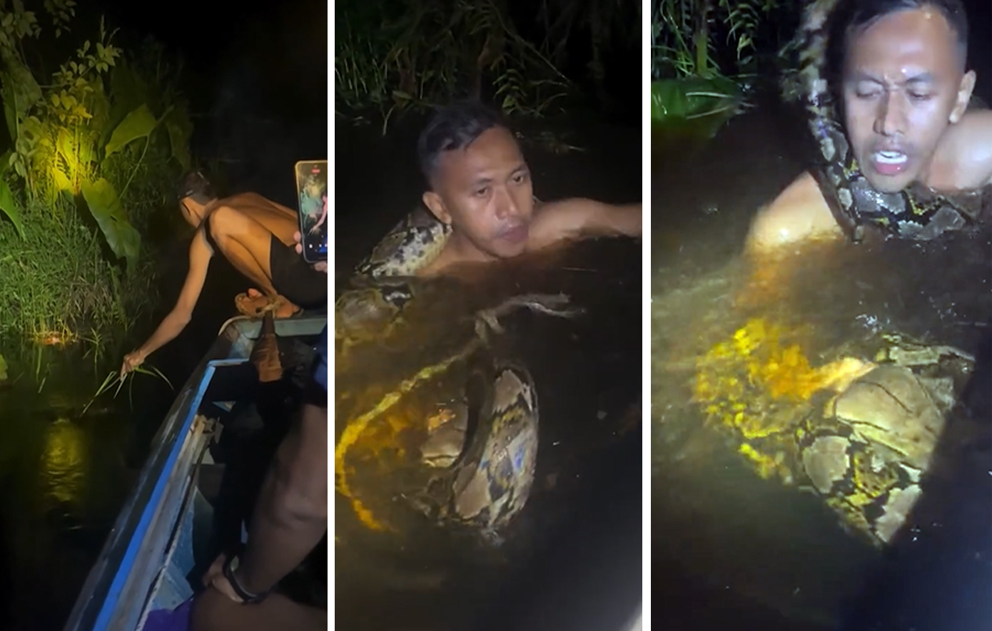 Σκηνή από ταινία τρόμου: Τεράστιος πύθωνας τυλίγεται γύρω από τον λαιμό ξεναγού, αφού τον τραβάει κάτω από το νερό