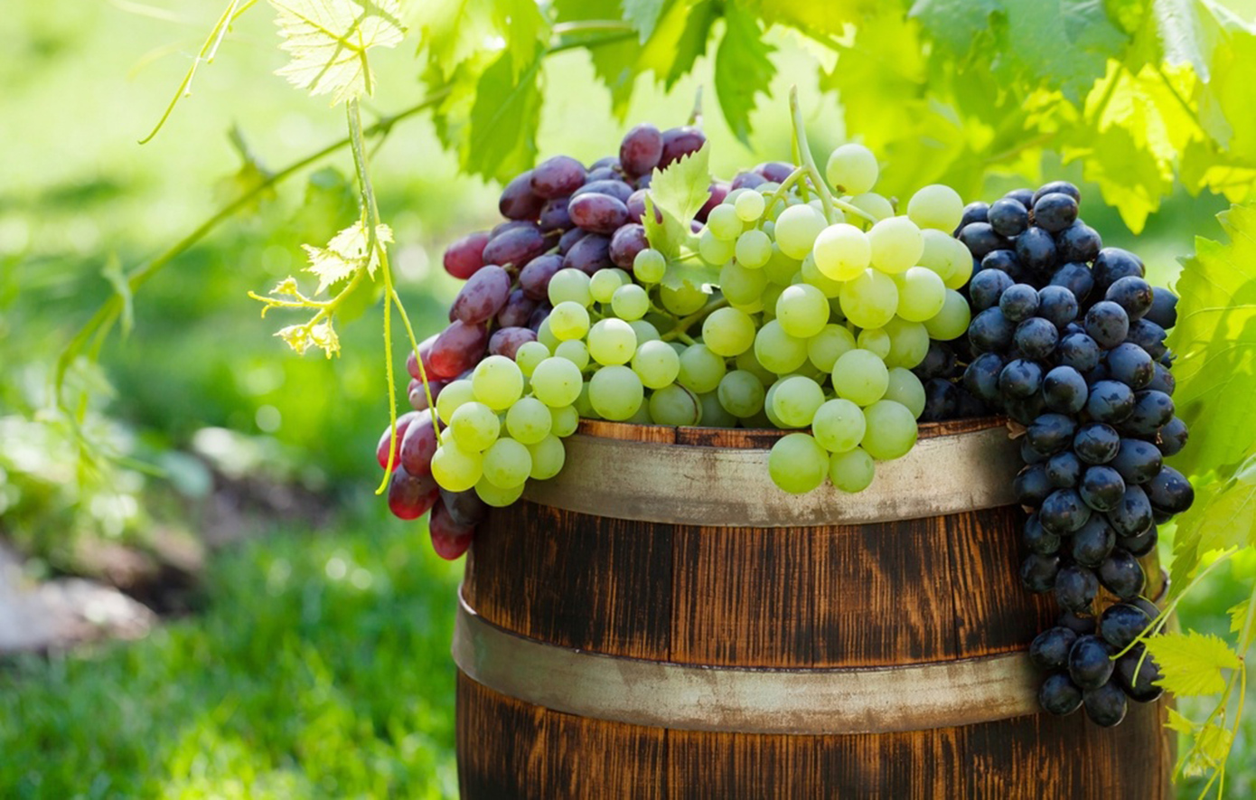 Σταφύλια: Τα 9 οφέλη που μας παρέχει απλόχερα ο μικρός καρπός