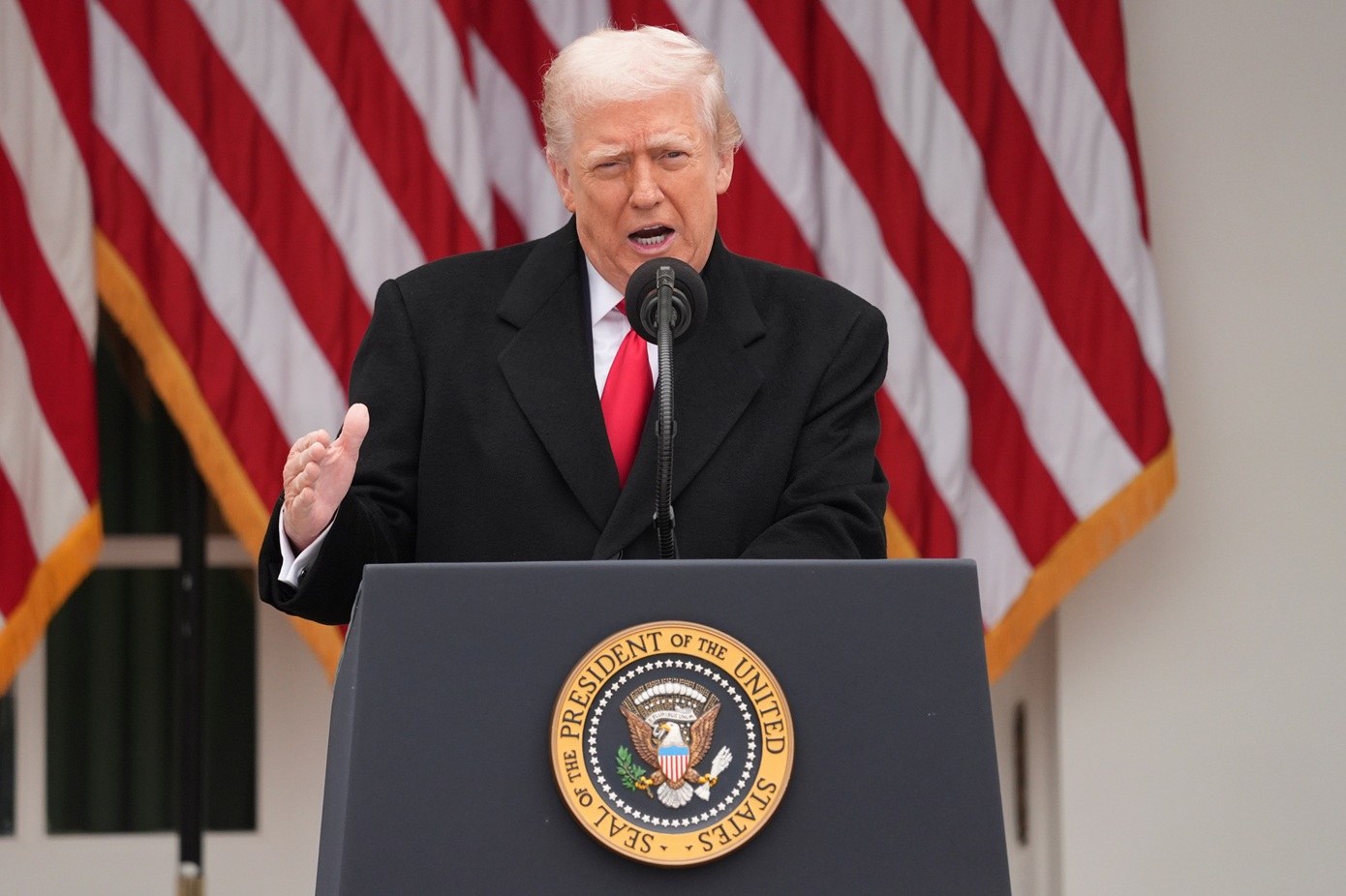 Τραμπ για την επίθεση στην Ουάσιγκτον: «Το κτήνος που διέπραξε αυτή τη φρικαλεότητα θα πληρώσει το βαρύτερο δυνατό τίμημα»