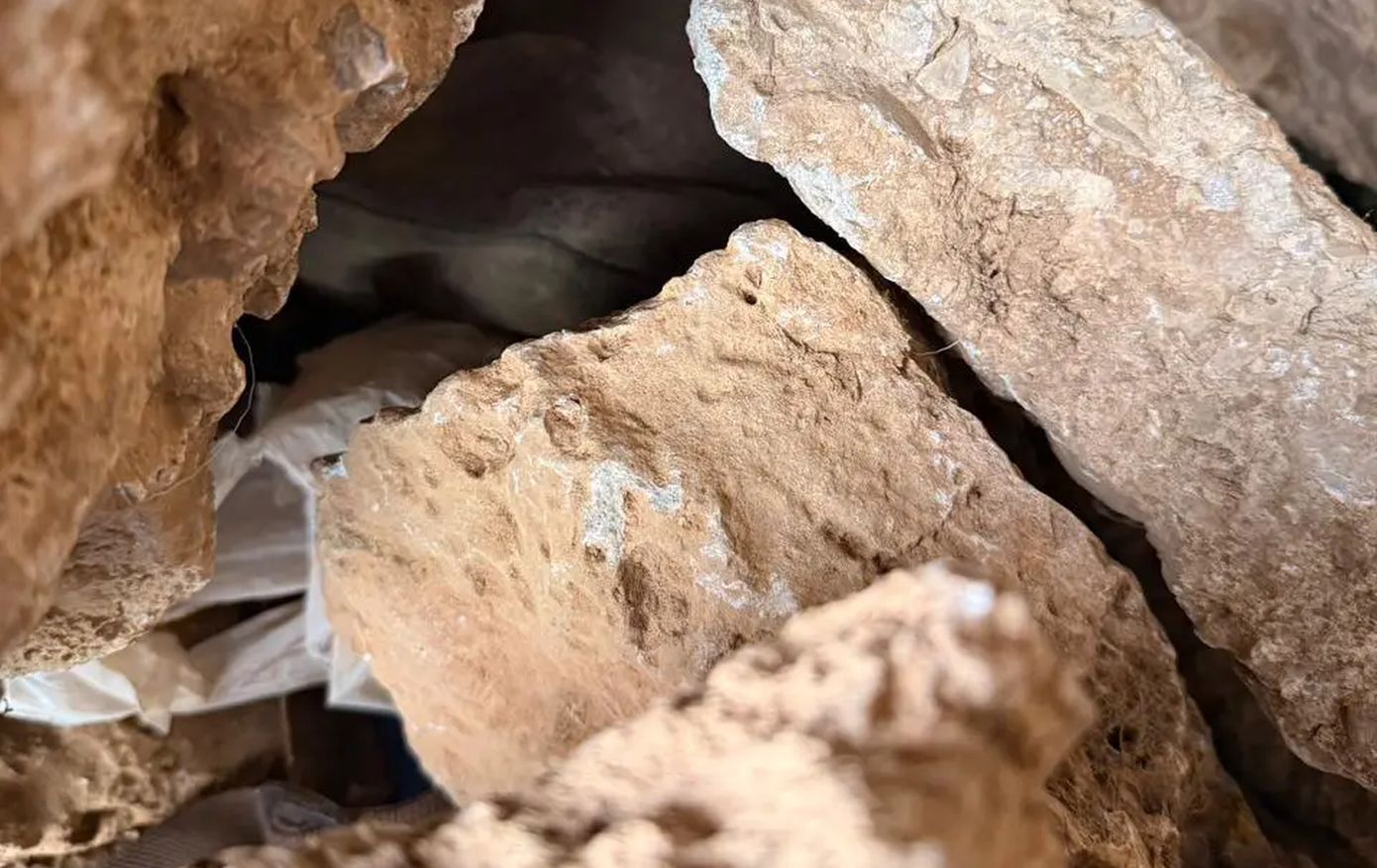 Τι έχει βρει η ΕΛ.ΑΣ. στα Βορίζια μετά το αιματοκύλισμα, δείτε φωτογραφίες &#8211; 9 συλλήψεις, όπλα και πυρομαχικά, έφοδοι σε σπίτια και στάβλους