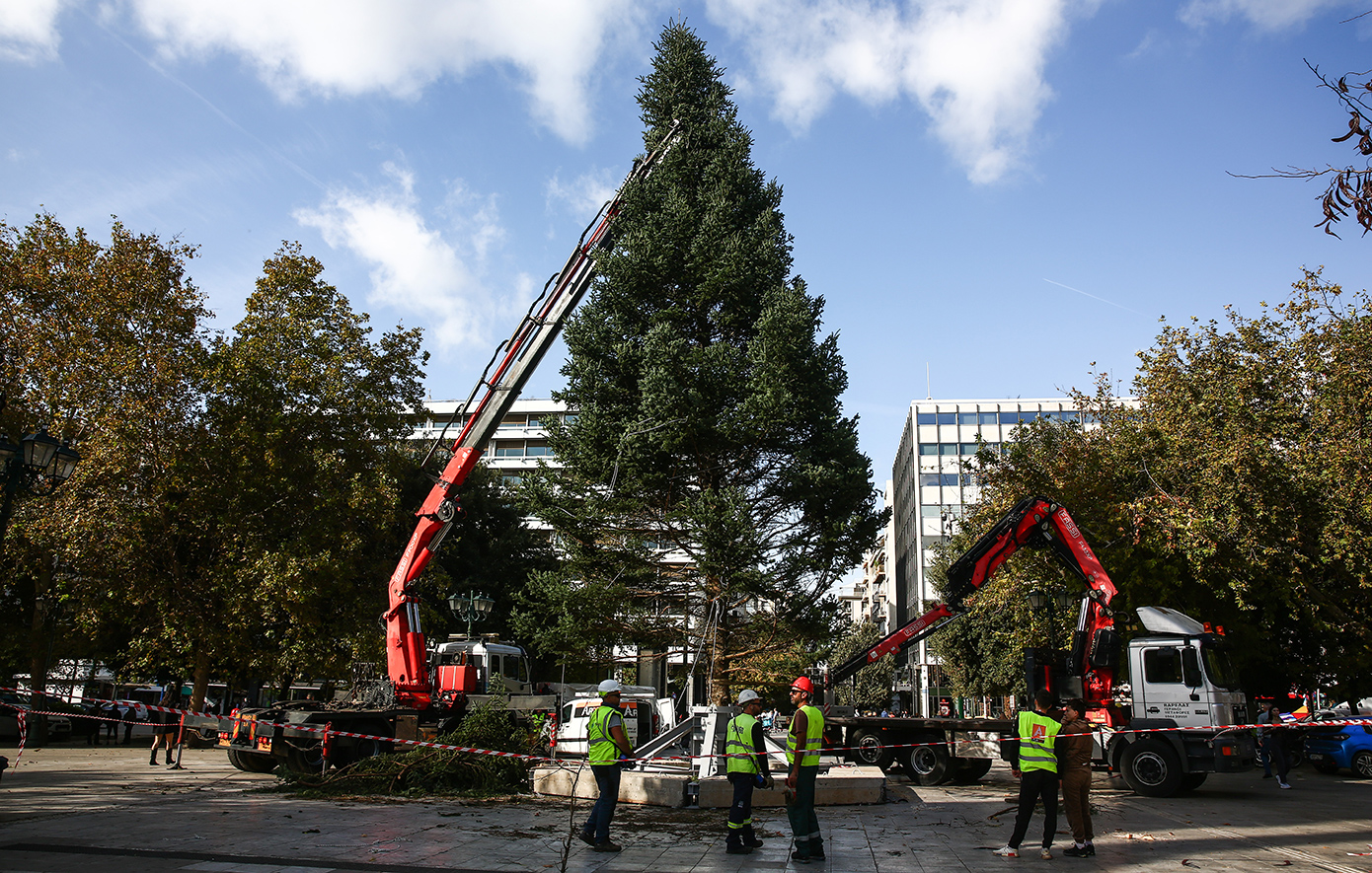 Έφτασαν σε Σύνταγμα και Αριστοτέλους τα εντυπωσιακά χριστουγεννιάτικα δέντρα &#8211; Δείτε βίντεο