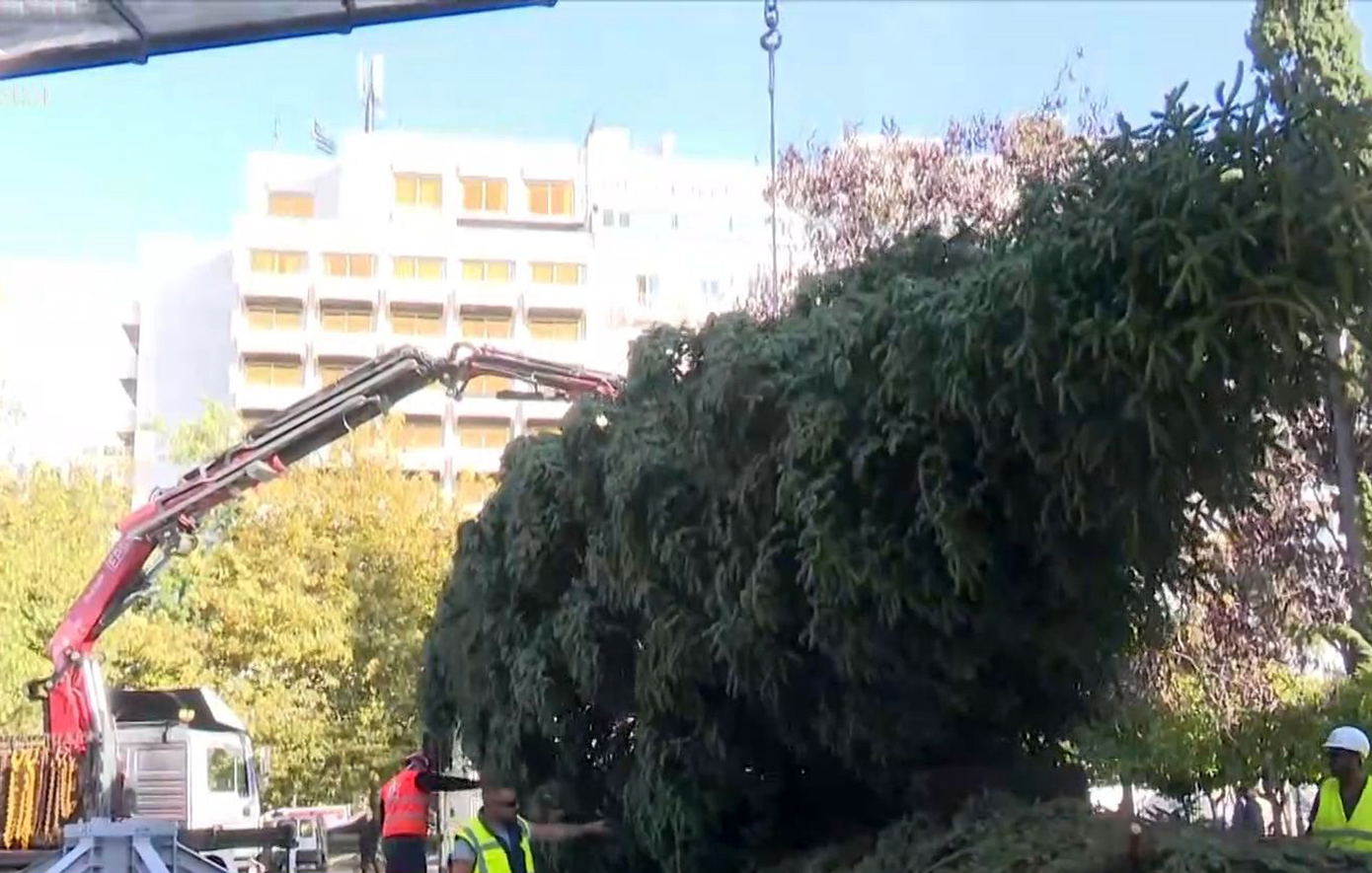 Έφτασαν σε Σύνταγμα και Αριστοτέλους τα εντυπωσιακά χριστουγεννιάτικα δέντρα &#8211; Δείτε βίντεο