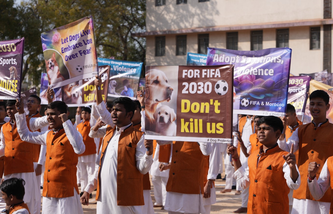 Σοβαρές καταγγελίες κατά του Μαρόκου για εξόντωση αδέσποτων λίγο πριν το Copa Africa