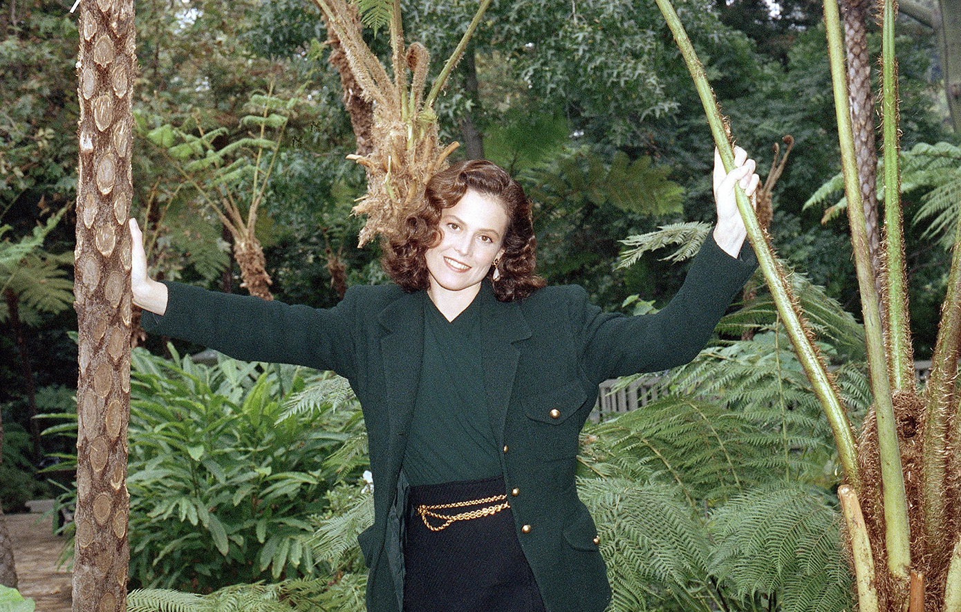 Νταϊάν Φόσεϊ