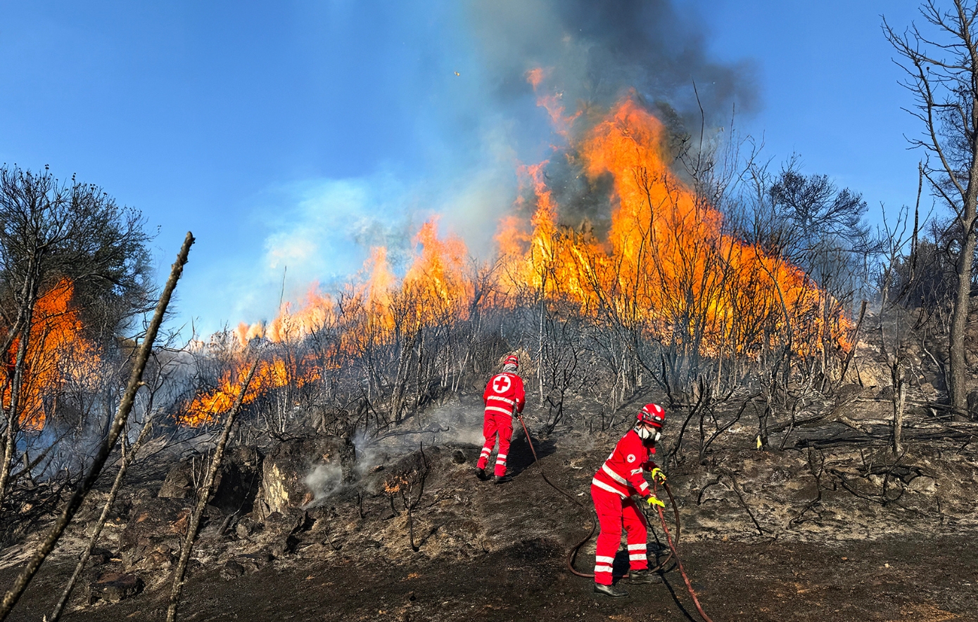 Ελληνικός Ερυθρός Σταυρός