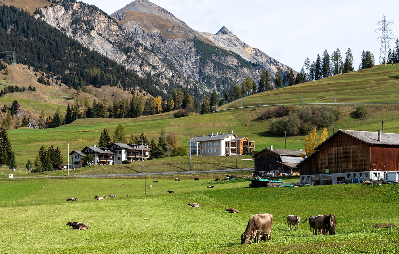 Bergün‑Bravuogn, Ελβετία