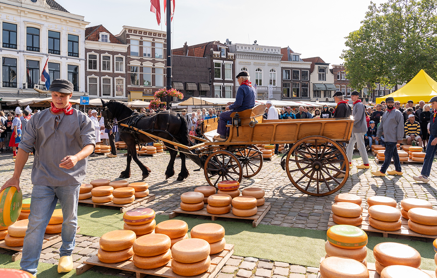 Γκούντα Ολλανδια Γκούντα Ολλανδια