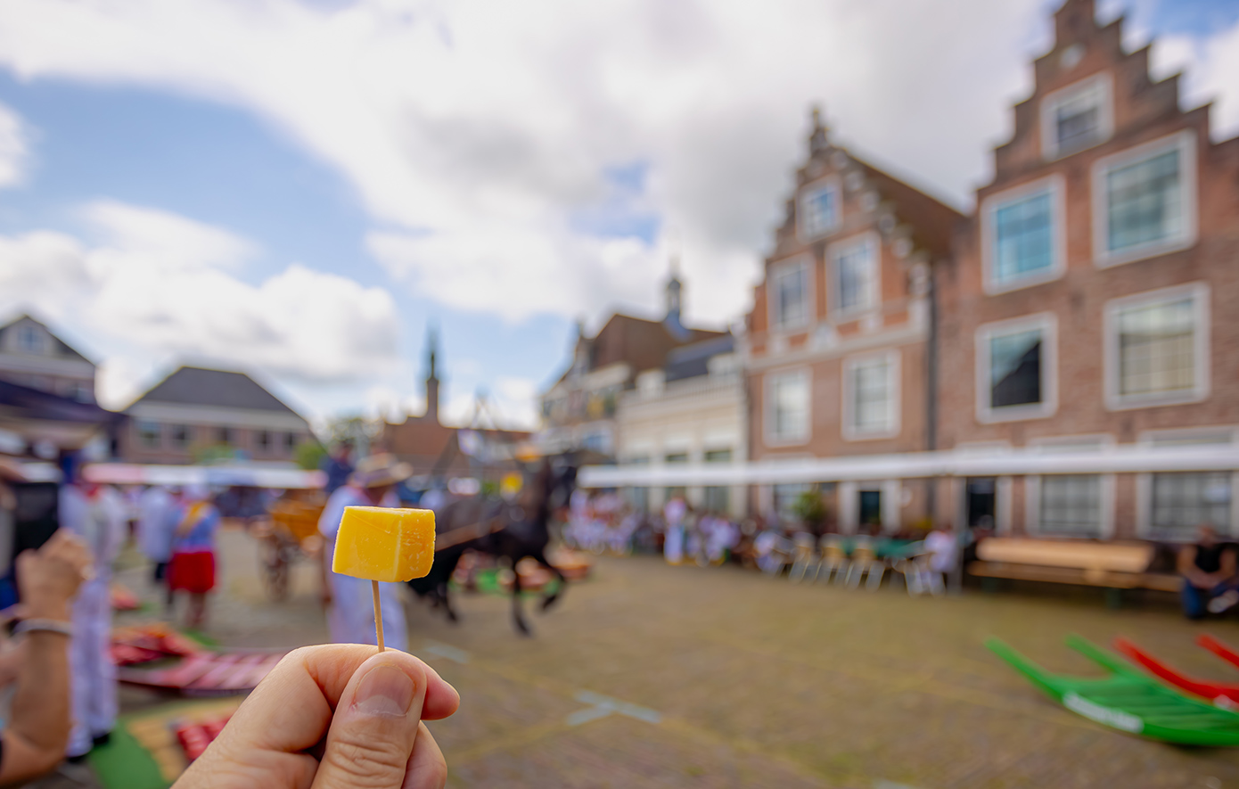 Κι όμως, το γκούντα έχει τη δική του πόλη και αξίζει να την ανακαλύψεις