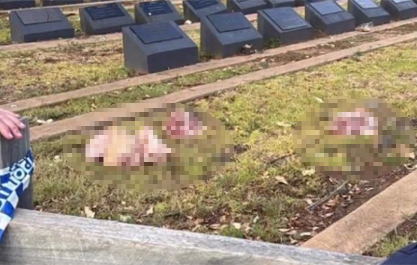 Πέταξαν κεφάλια γουρουνιών σε τάφους μουσουλμάνων μετά την επίθεση στο Σίδνεϊ &#8211; Ανεπιθύμητοι οι δράστες από την κοινότητά τους