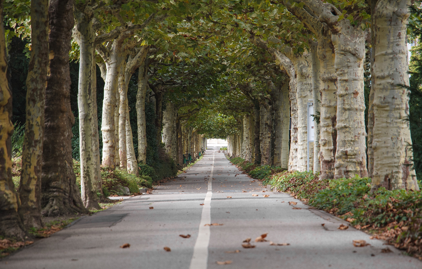 Λεβερκούζεν Λεβερκούζεν