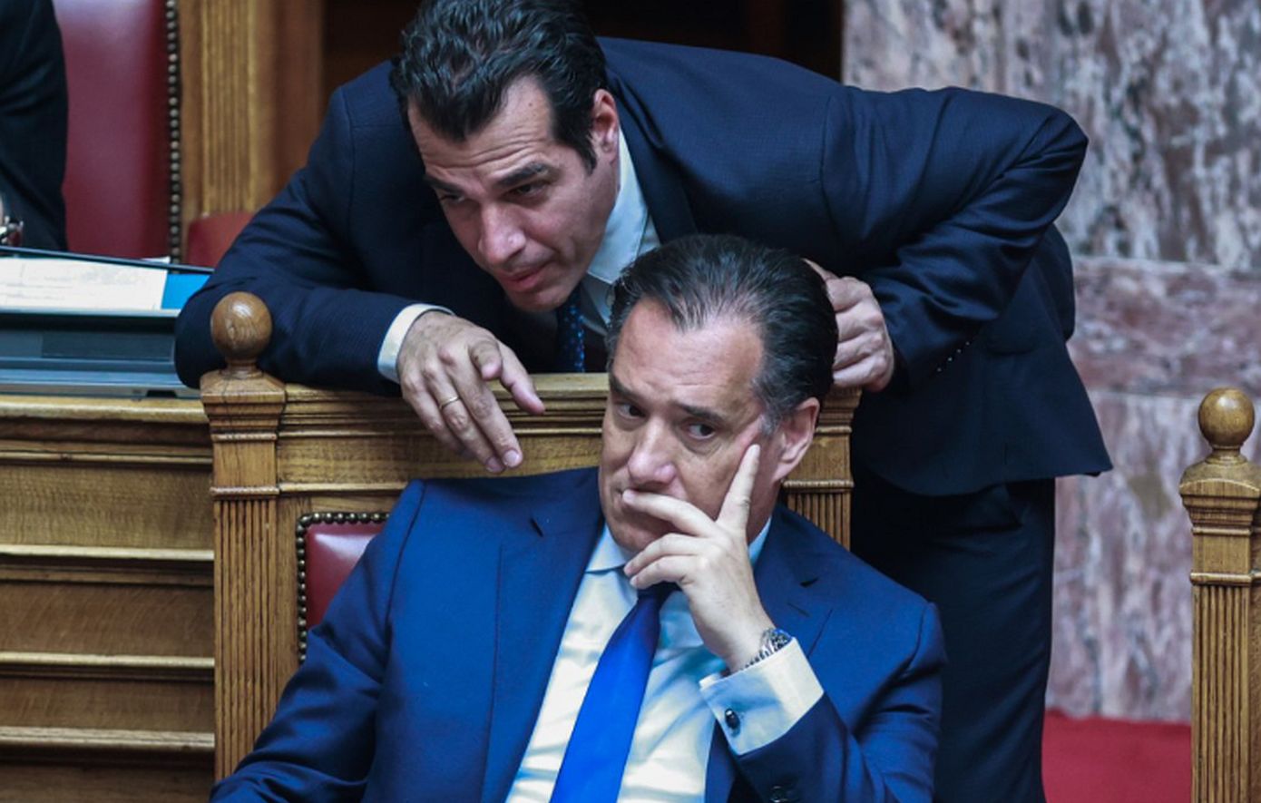 Γεωργιάδης και Πλεύρης «κήρυξαν τον πόλεμο» σε «Διεθνή Αμνηστία και Δικαστήριο της Χάγης: «Αδιάφορα αριστεροκρατούμενα σχήματα»