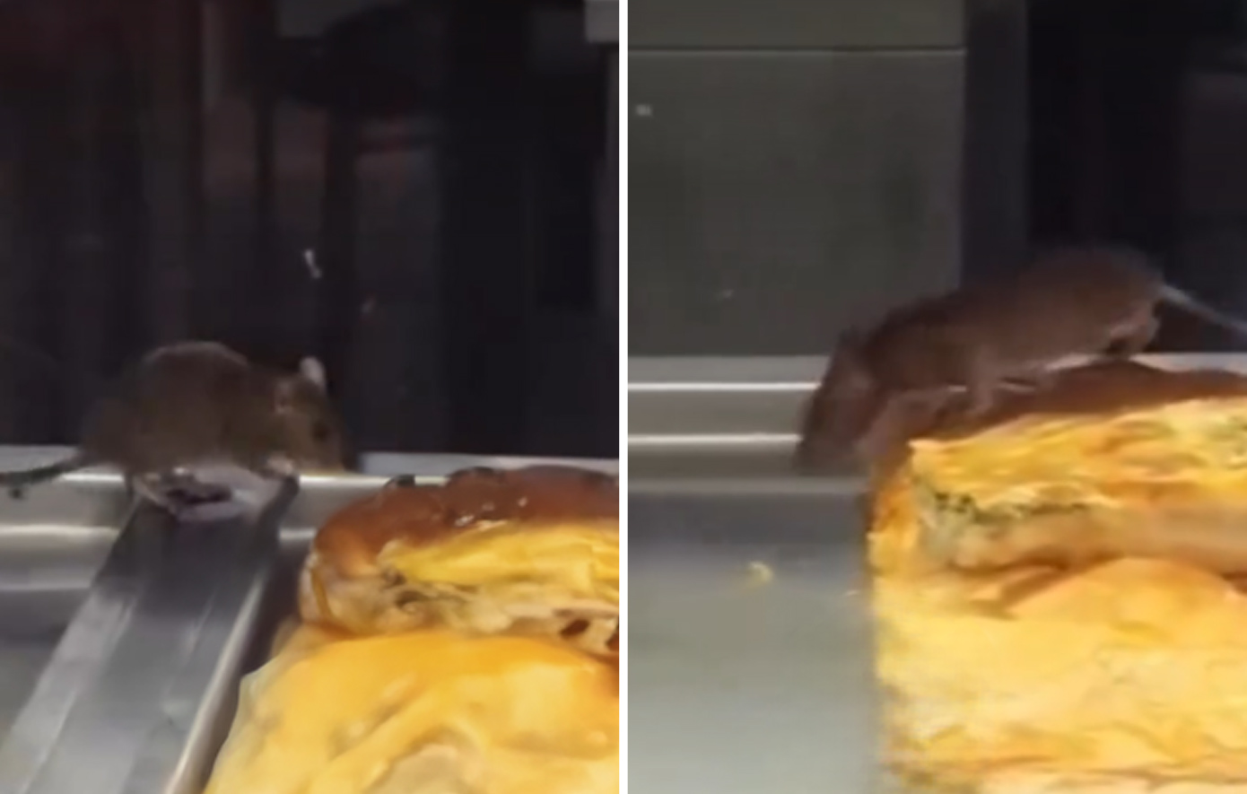 Αποτροπιαστικές εικόνες στην Τουρκία: Ποντίκι σε βιτρίνα με μπουρέκια στη Σμύρνη