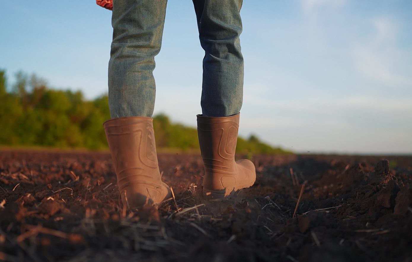 Πώς έστησαν την κομπίνα με τις επιδοτήσεις του ΟΠΕΚΕΠΕ ο αγροτοσυνδικαλιστής, ο λογιστής και η δικηγόρος