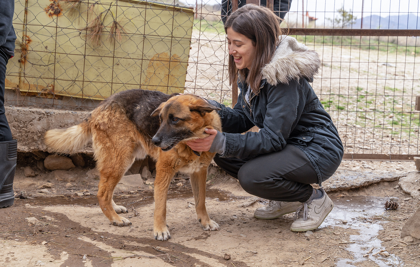 Εκεί όπου μια μικρή πράξη αρκεί για να αλλάξει μια ζωή: Τέσσερις αληθινές ιστορίες προσφοράς