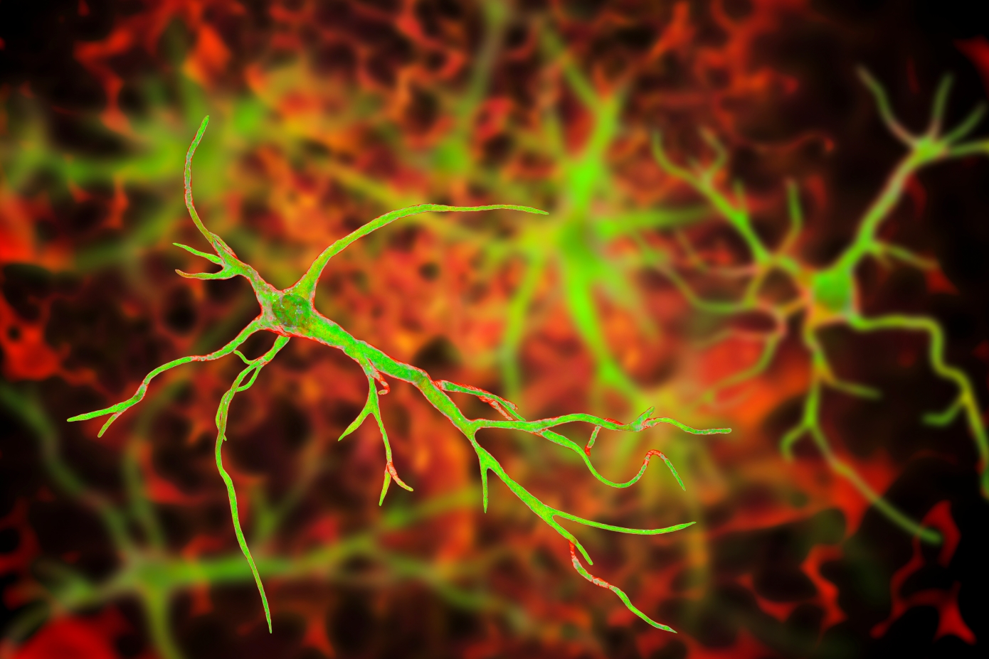 Επαναστατική θεραπεία &#8211; Επιστήμονες αντιστρέφουν το Αλτσχάιμερ σε ποντίκια και αποκαθιστούν τη μνήμη