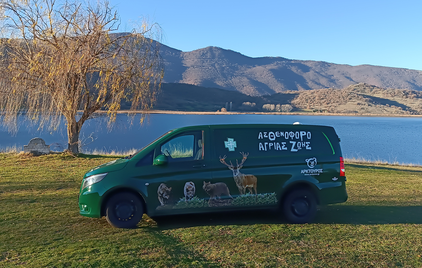 Ο «Αρκτούρος» απέκτησε το πρώτο ασθενοφόρο μεγάλων άγριων θηλαστικών