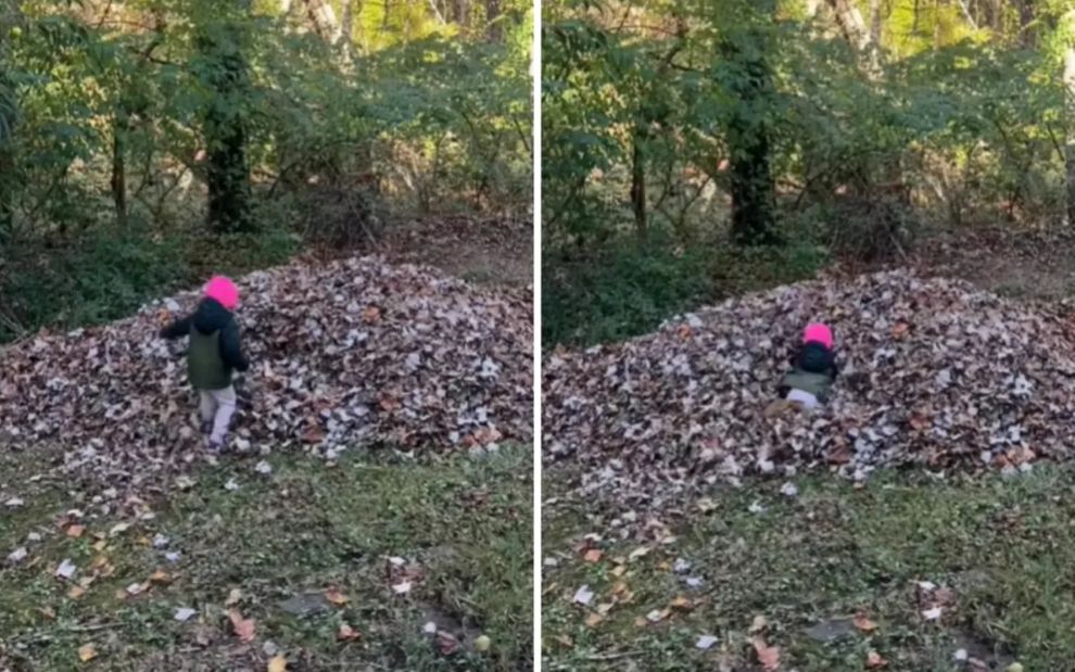 Έφτιαξαν ένα στρώμα από φύλλα για την κόρη τους, αλλά το λάτρεψε… ένας απρόσμενος επισκέπτης