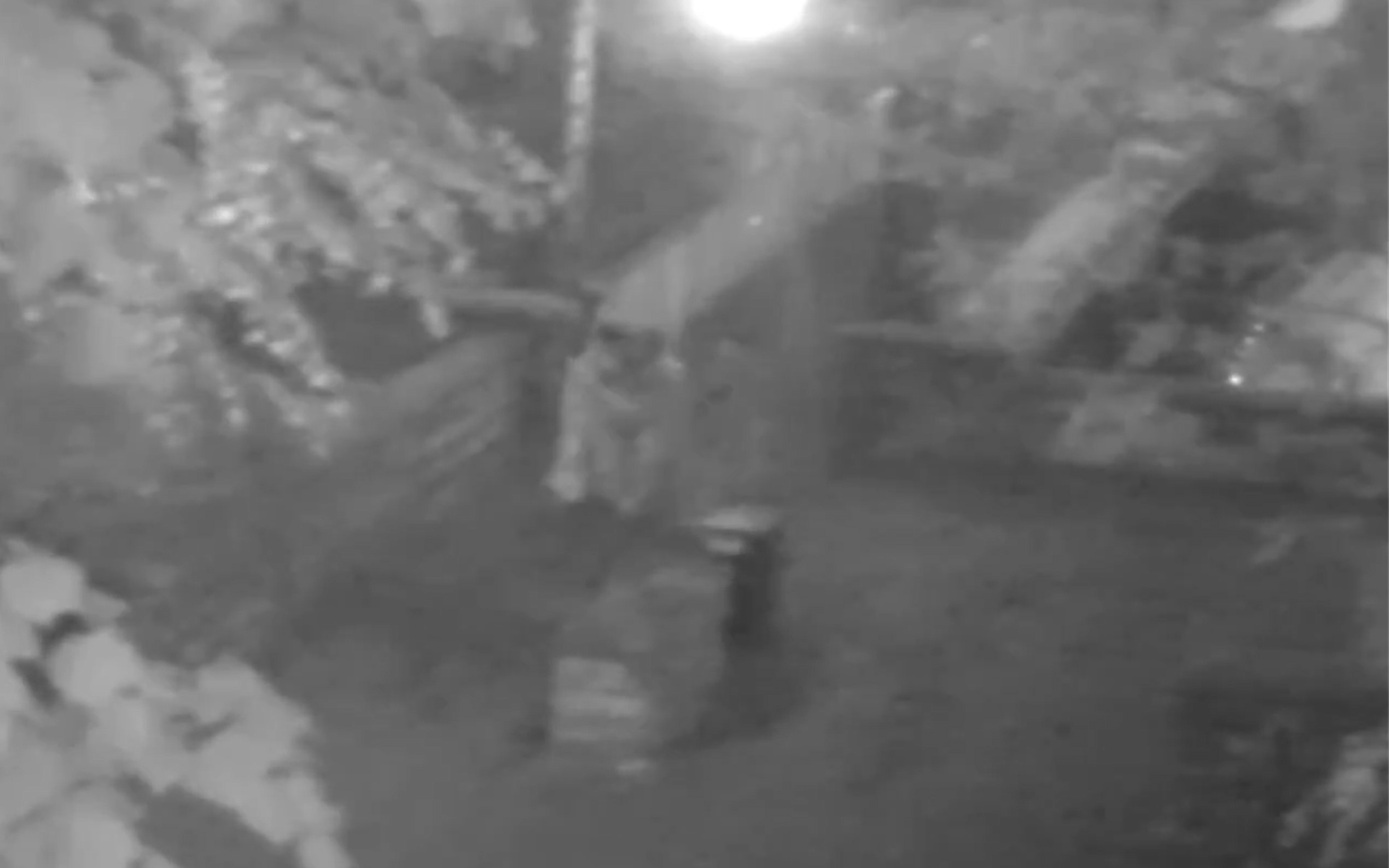 Αφγανοί έφηβοι καταδικάστηκαν για το βιασμό ανήλικης – Το θύμα κατέγραψε την στιγμή της «τρομακτικής» απαγωγής της