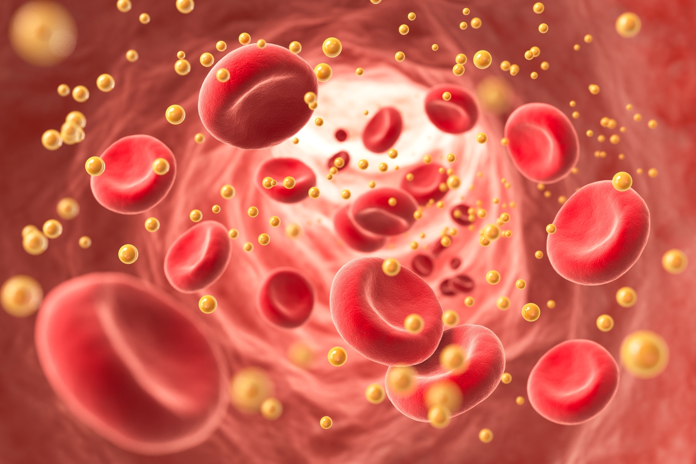 Υψηλή χοληστερίνη; Αυτές οι τροφές μειώνουν τον κίνδυνο θνησιμότητας κατά 21%