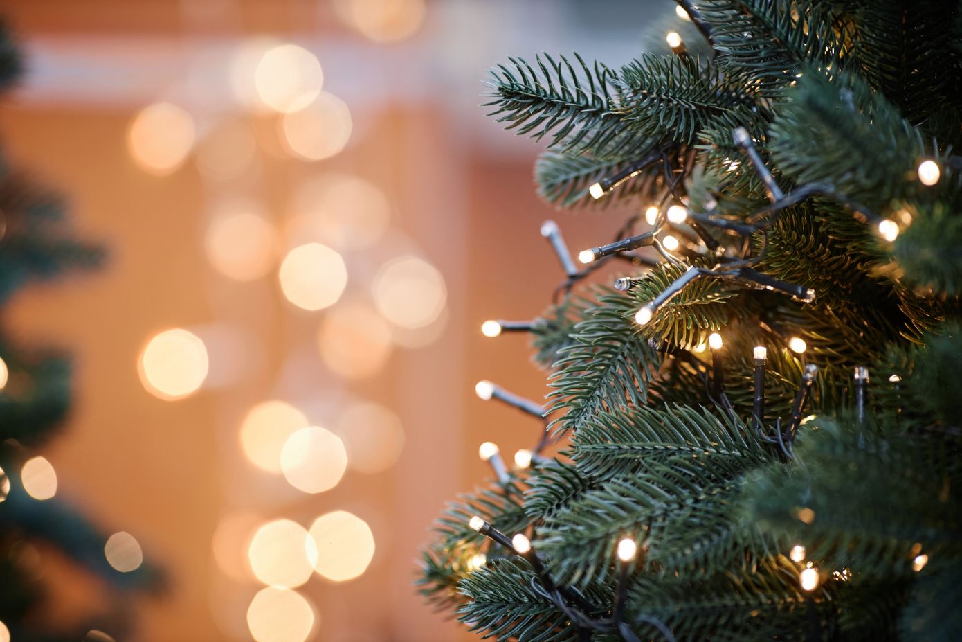 Kάθε φορά που πάτε να βάλετε στο δέντρο τα λαμπάκια τα βρίσκετε μπερδεμένα και νευριάζετε; Πως να τα τοποθετήσετε σωστά