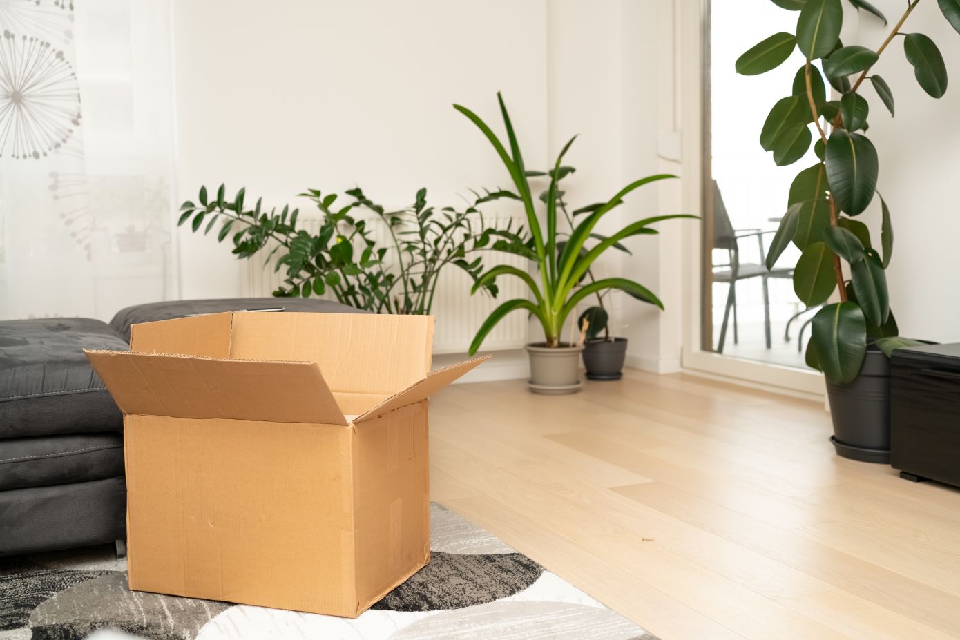 Το «κουτί του εκκρεμούς»: Η μέθοδος που σταματά το χάος και φέρνει πραγματική τάξη στο σπίτι