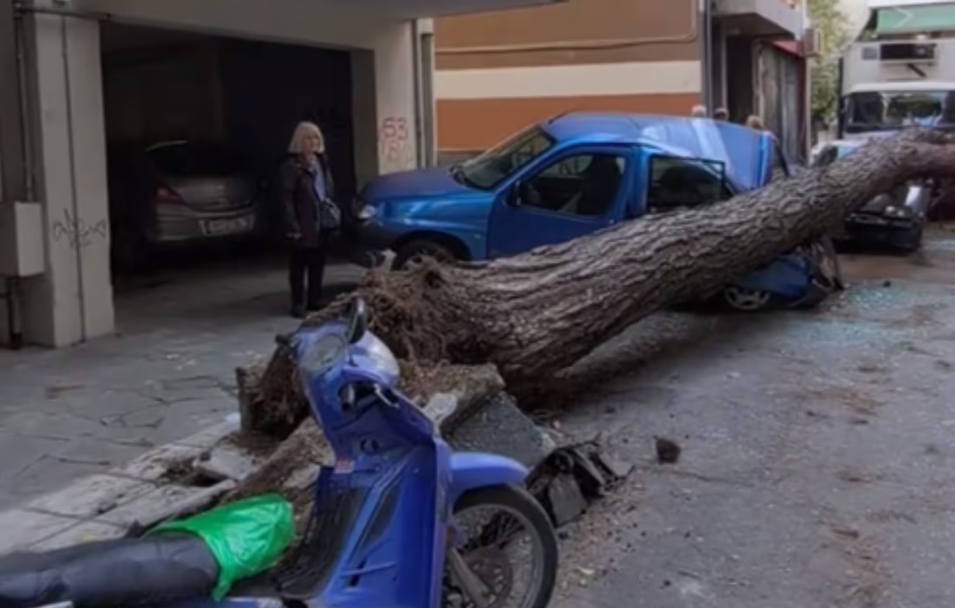 Πτώση μεγάλου δέντρου στη Θεσσαλονίκη, ζημιές σε σταθμευμένα αυτοκίνητα