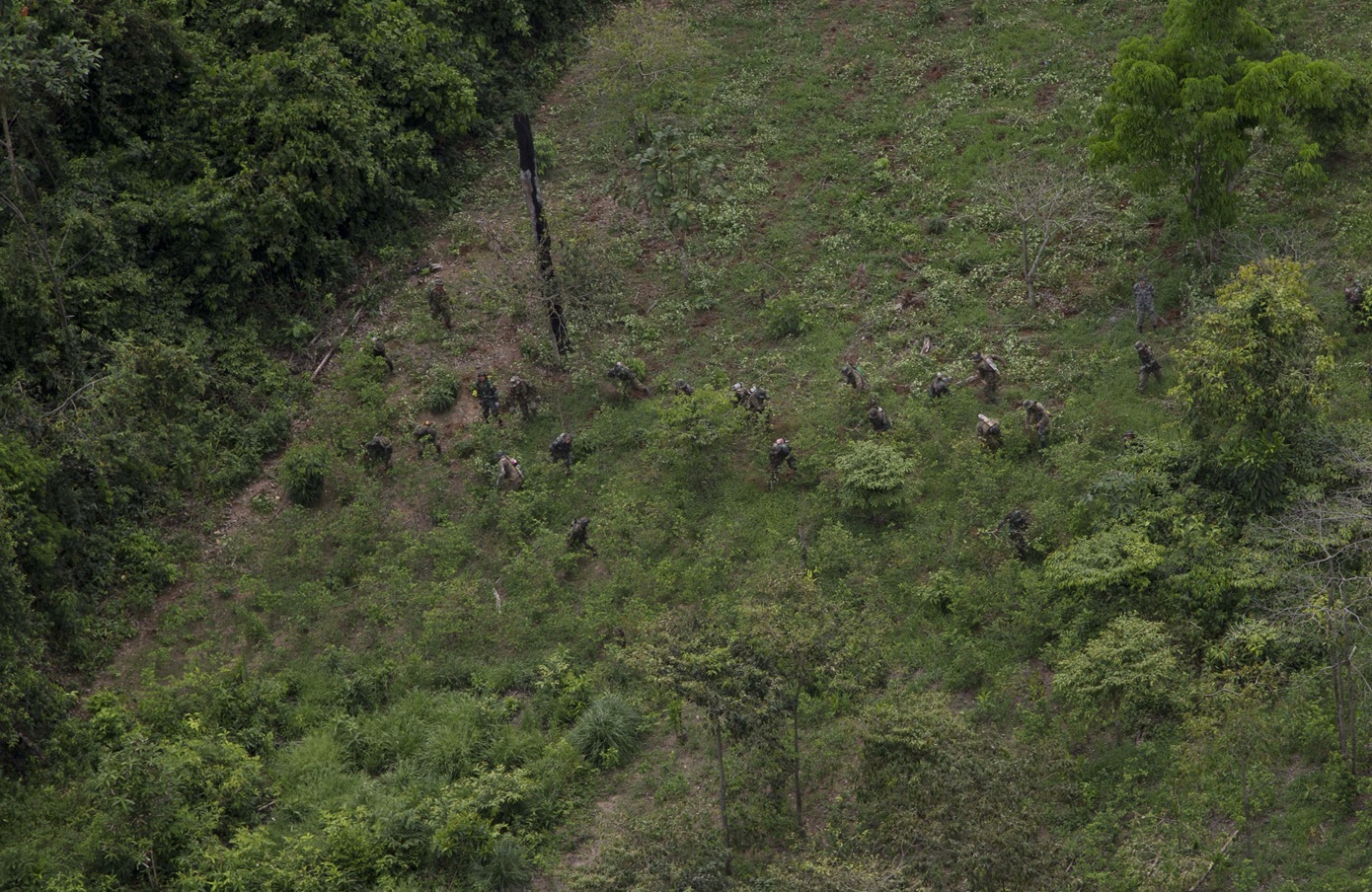 Μη επανδρωμένα αεροσκάφη ξεκινούν ψεκασμούς φυτειών κόκας στην Κολομβία