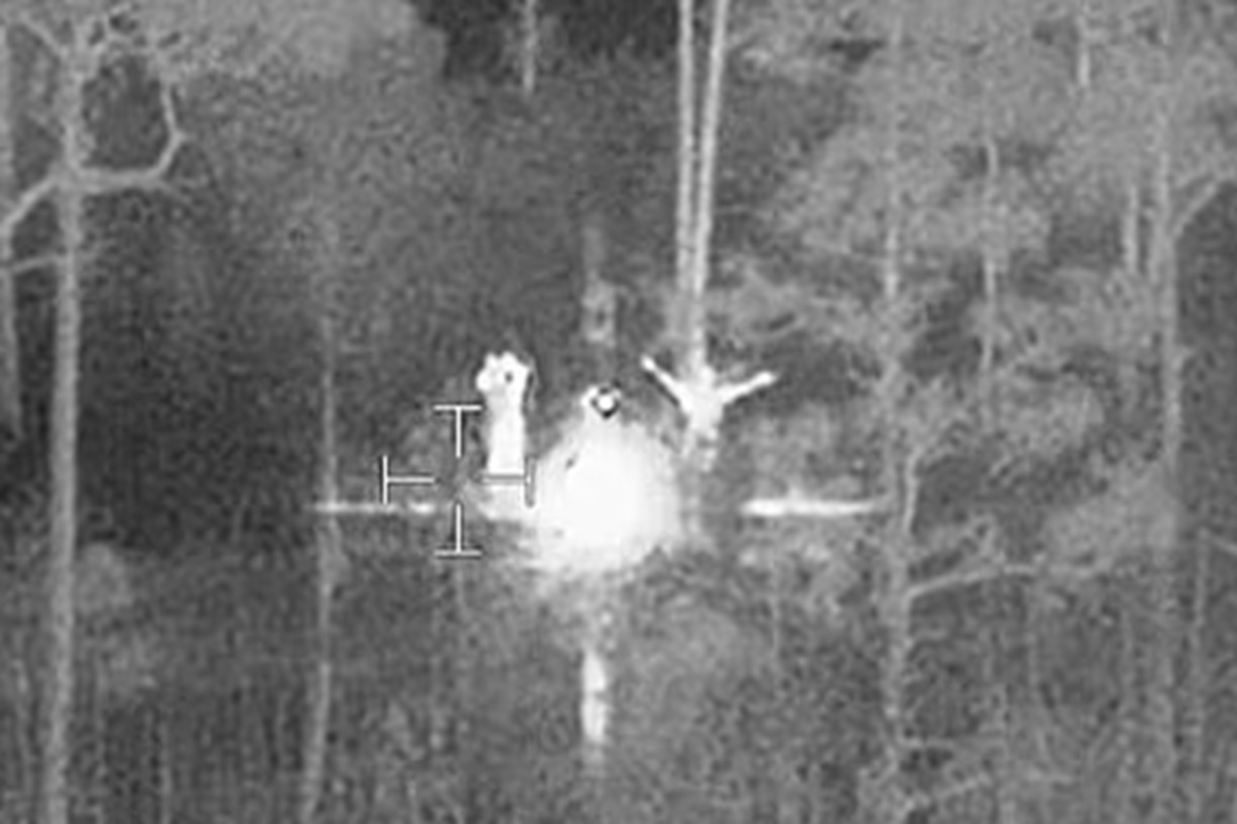 Πατέρας και γιος εγκλωβίστηκαν ξυπόλητοι σε βάλτο στην Φλόριντα, περιτριγυρισμένοι από «πεινασμένους» αλιγάτορες