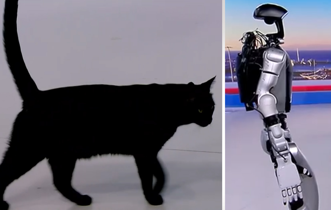 Το ρομπότ «Σοφία» βγήκε στον αέρα του ΣΚΑΪ και ο γάτος της εκπομπής έτρεχε τρομαγμένος να κρυφτεί