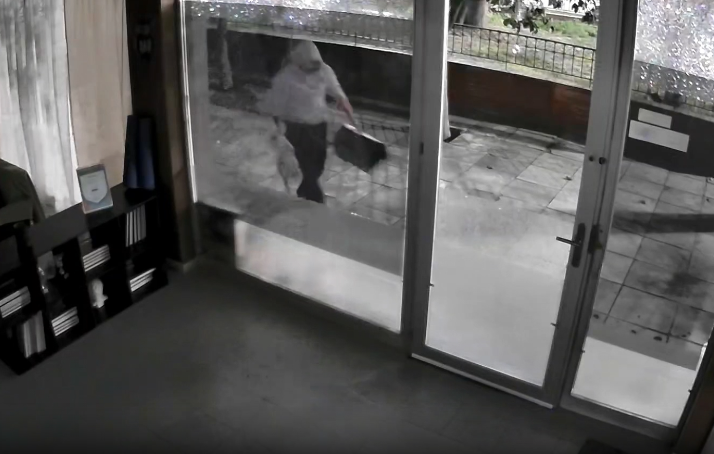 Άγνωστος απαγάγει γάτες από τη Νέα Φιλαδέλφεια: «Φώναζε σπαρακτικά στα χέρια του» &#8211; Δείτε βίντεο