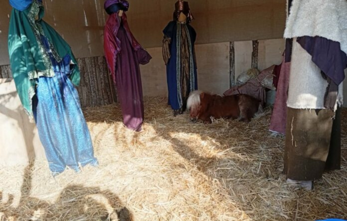 Αντιδράσεις για ζωντανό πόνι στη φάτνη του Βόλου &#8211; Η ανακοίνωση φιλοζωικής, τι απαντά ο Αχιλλέας Μπέος