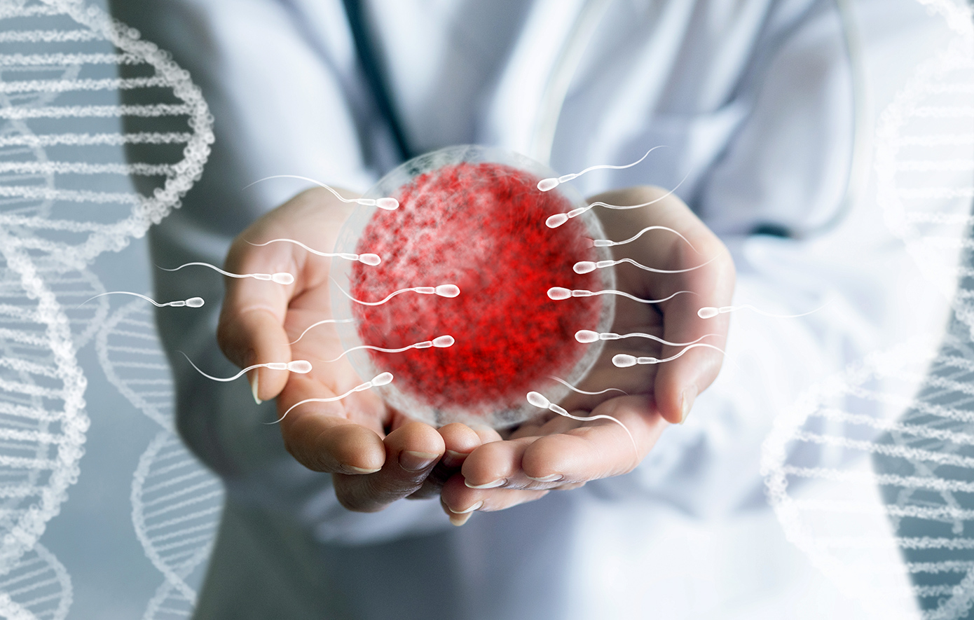 Σπέρμα Σπέρμα