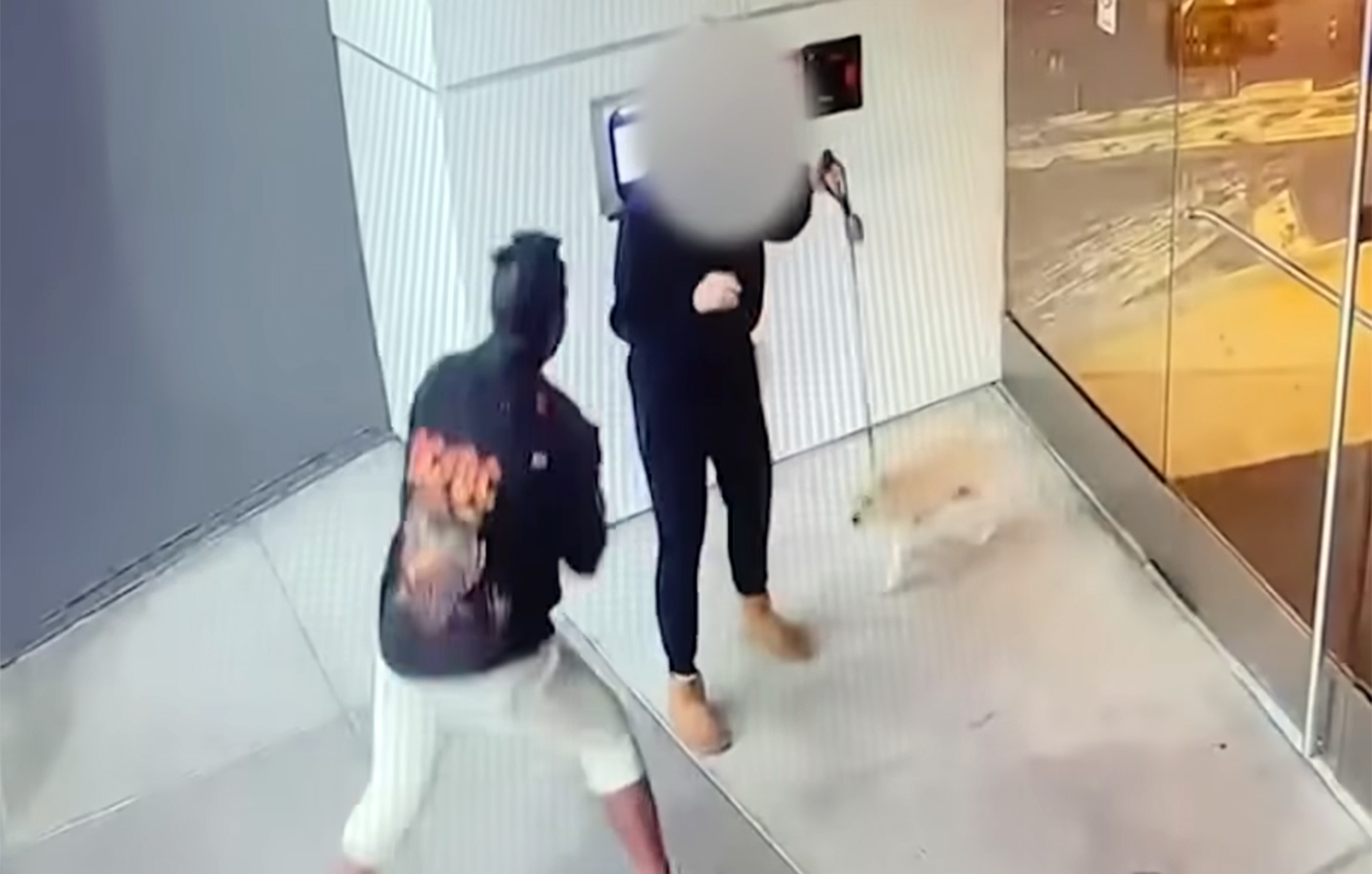 Γυναίκα δέχτηκε βίαιη σεξουαλική επίθεση στο Λος Άντζελες την ώρα που έβγαζε βόλτα τον σκύλο της &#8211; Η σοκαριστική στιγμή σε κάμερα ασφαλείας