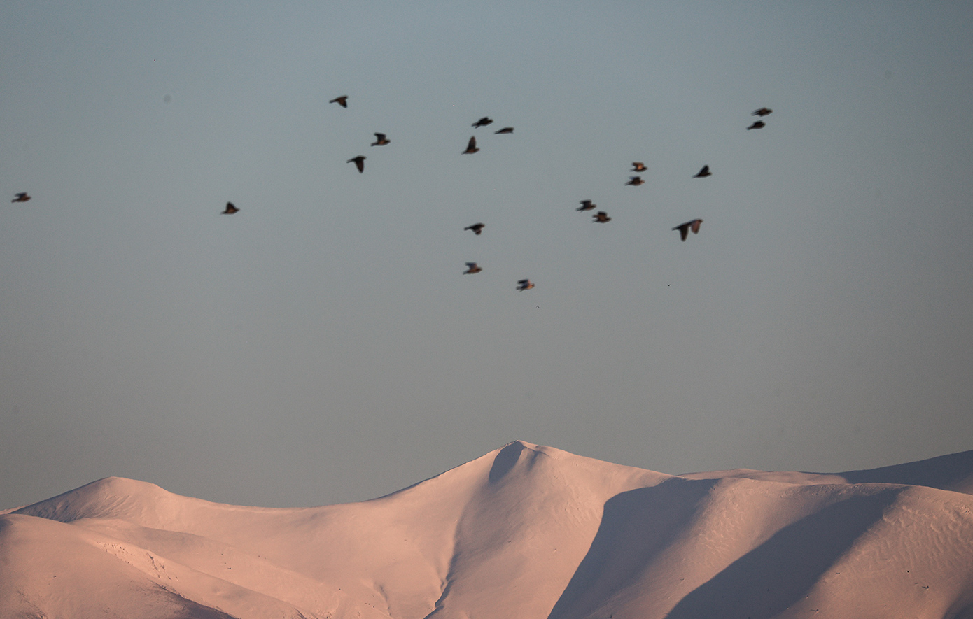 Μαγικές εικόνες από τις χιονισμένες κορυφές του Ολύμπου
