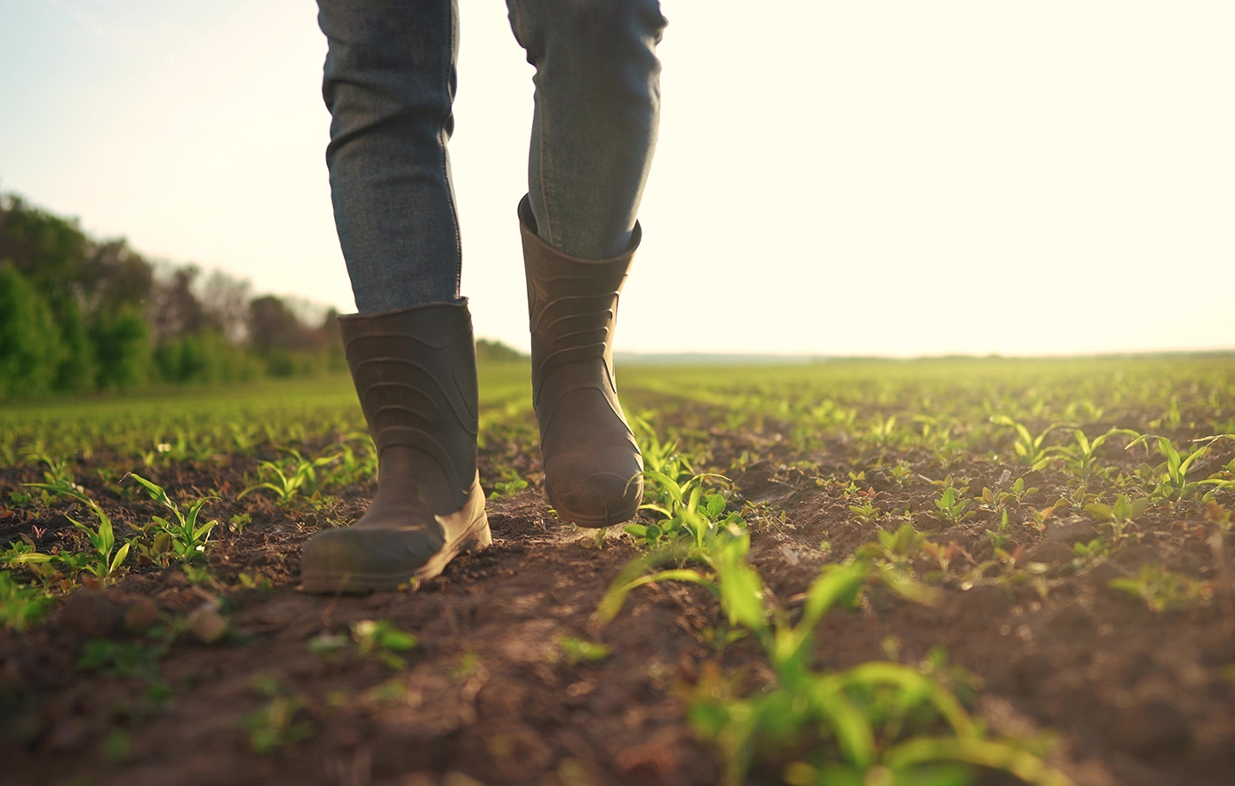 Ο αγροτοσυνδικαλιστής, ο λογιστής και η σύζυγος: Ποιοι συνελήφθησαν για τον ΟΠΕΚΕΠΕ &#8211; Κυνηγούσαν ακόμη τις επιδοτήσεις
