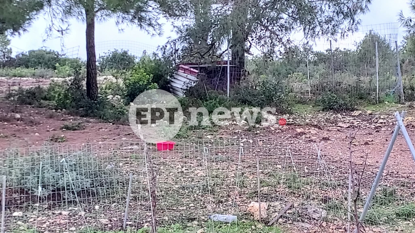 Θρήνος για τον 2χρονο που πέθανε από επίθεση πίτμπουλ στη Ζάκυνθο &#8211; Δύο μήνες ήταν στο σπίτι της οικογένειας ο σκύλος