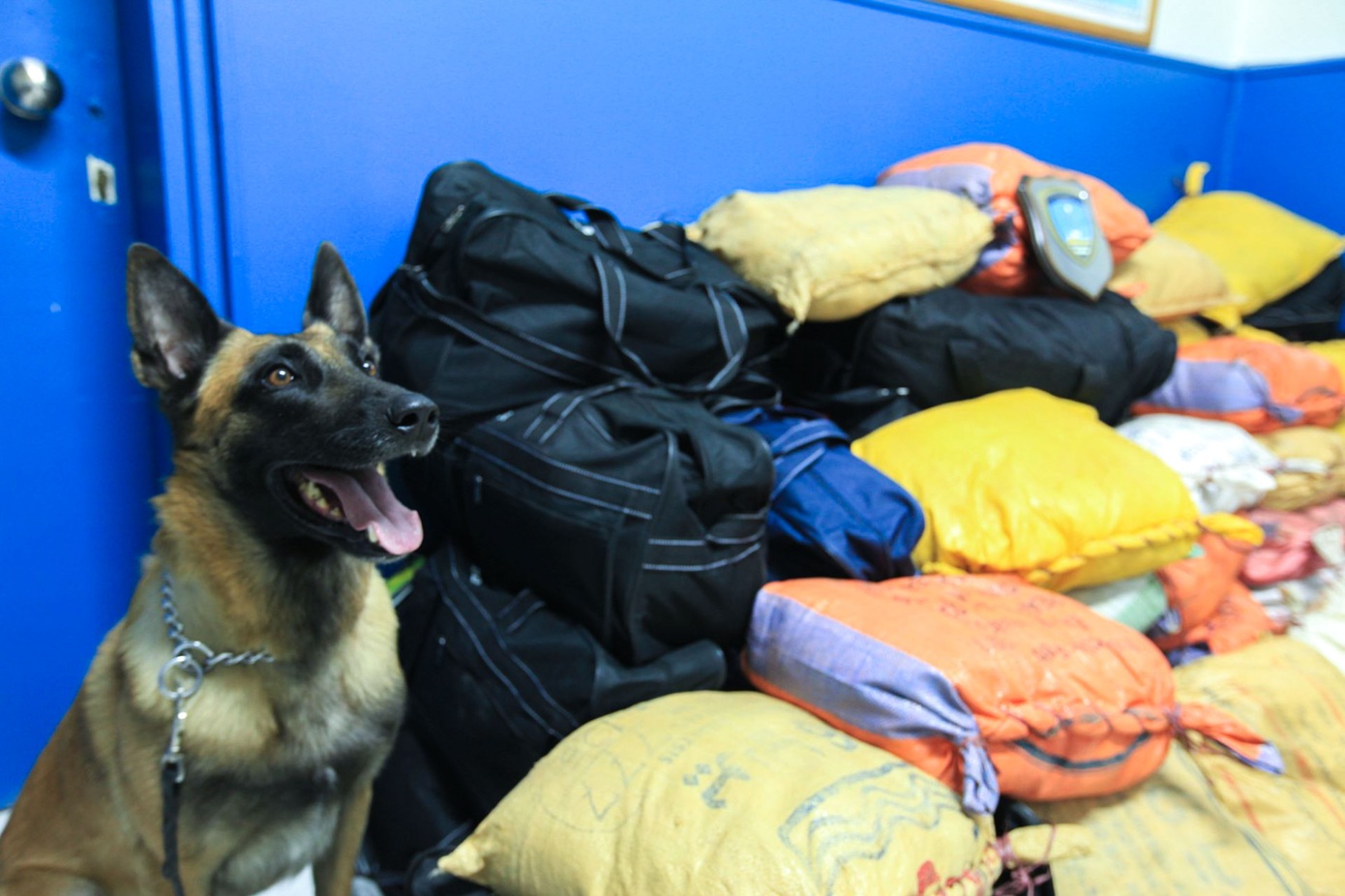 Μεγάλες ποσότητες κοκαΐνης και ινδικής κάνναβης εντοπίστηκαν σε φορτηγό στο λιμάνι της Πάτρας