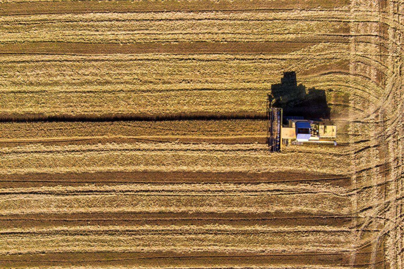 Ψηφιακή επανάσταση στις αγροτικές ενισχύσεις με δορυφόρους και ΑΙ &#8211; Παπαστεργίου: «Εργαλείο δικαιοσύνης για τους αγρότες»