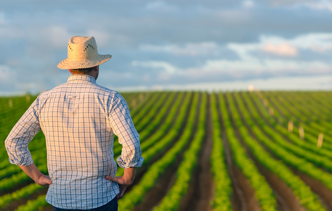 Πώς η συμφωνία ΕΕ &#8211; Mercosur προστατεύει 21 ελληνικά ΠΟΠ προϊόντα και τους Έλληνες παραγωγούς