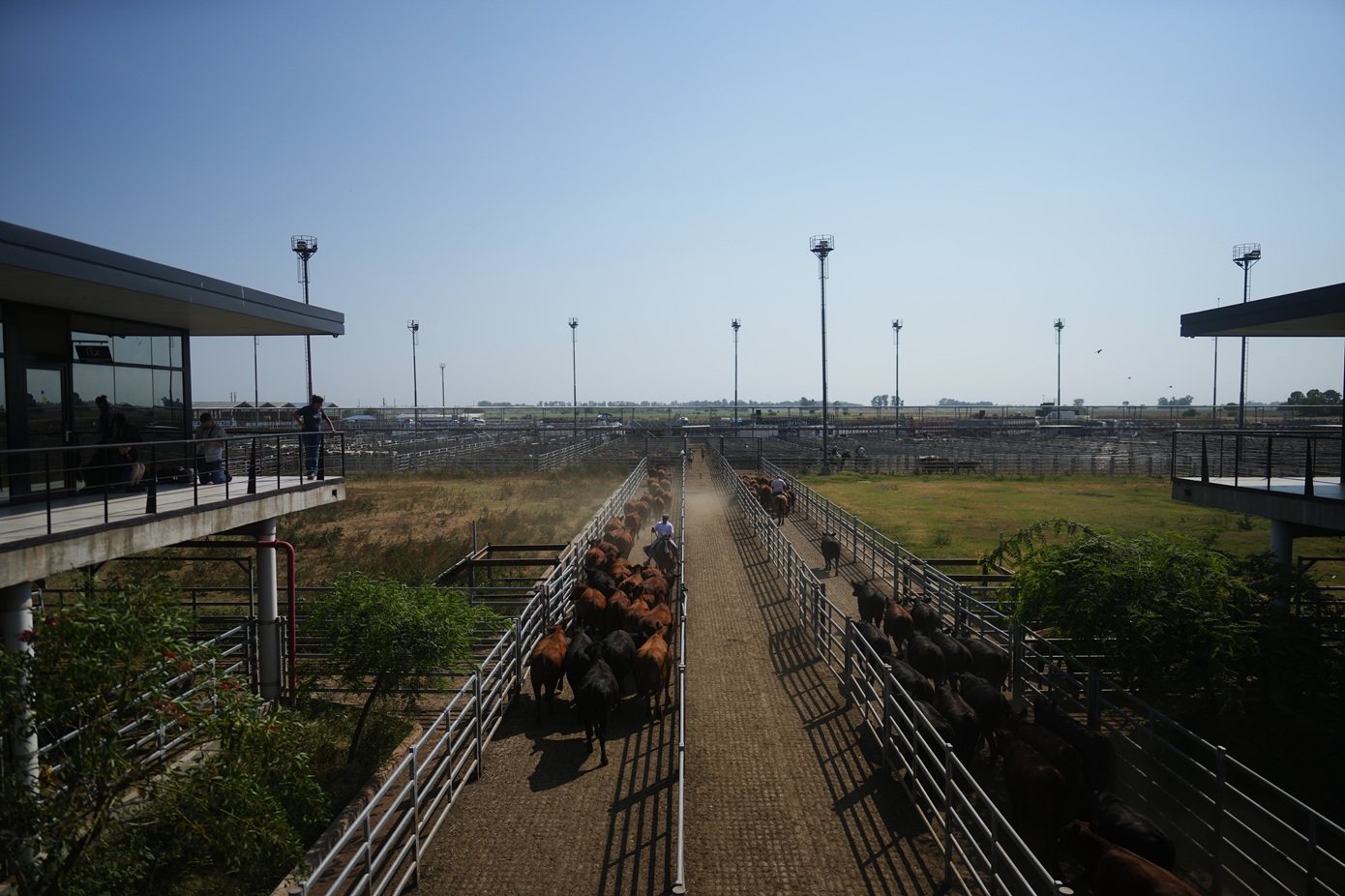 Σήμερα υπογράφεται η ιστορική συμφωνία Ευρωπαϊκής Ένωσης &#8211; Mercosur στην Ασουνσιόν της Παραγουάης