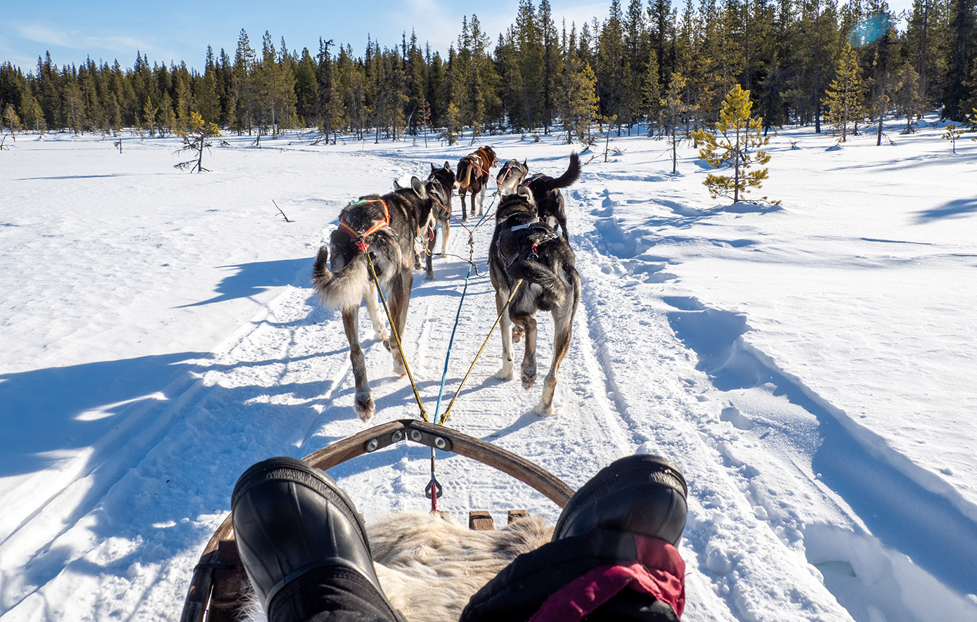 Αμπίσκο Σουηδία