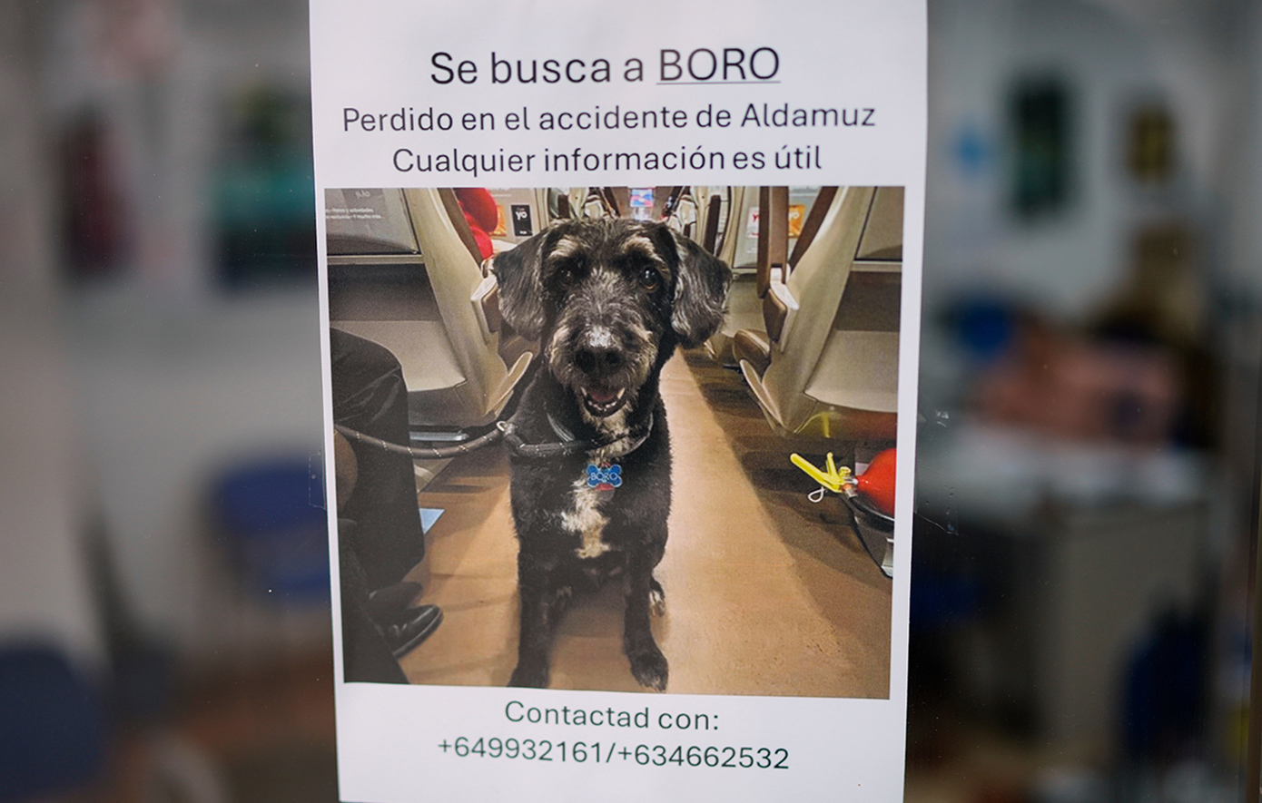 Ισπανία: Το «θαύμα» της 4ης ημέρας &#8211; Εντοπίστηκε ζωντανός σκύλος τέσσερα 24ωρα μετά τη σύγκρουση των τρένων