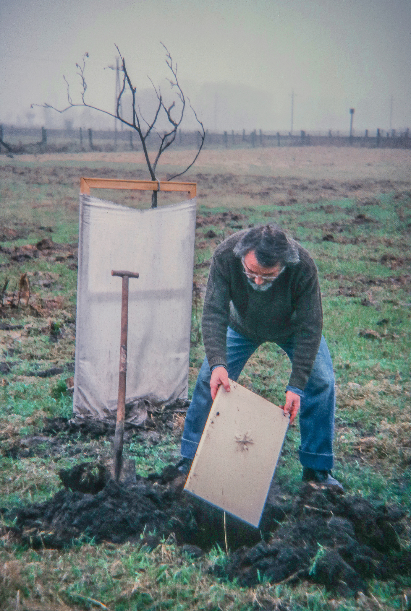 Μουσείο Τέχνης