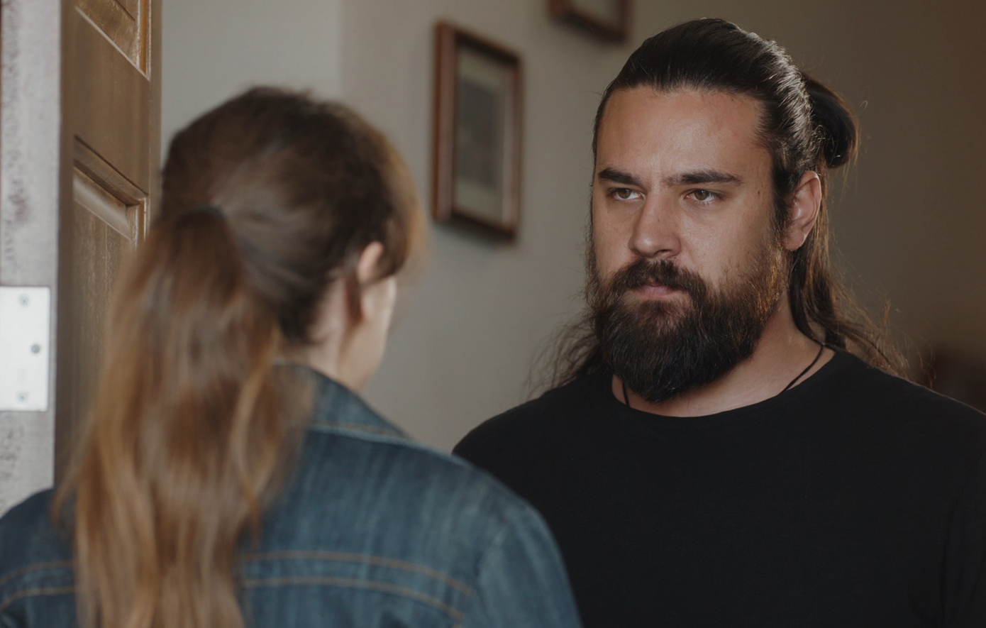 Η Γη της Ελιάς