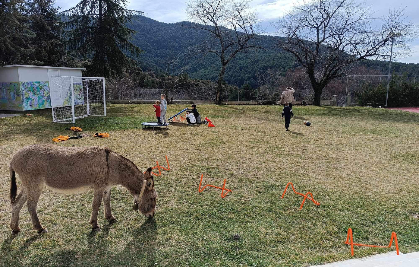 Βαμβακού Λακωνία